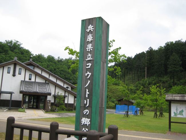 兵庫県でバスを乗ると、コウノトリの写真を目にすると思います。ここは、豊岡市のコウノトリ自然公園です。貴重なコウノトリの生態やどんな生活をしているのかがわかる所です。駅でもこの場所を教えてくれるので、体力がある方はレンタルサイクルで、またその他も方にはバスも通っていますので是非行ってみてください。