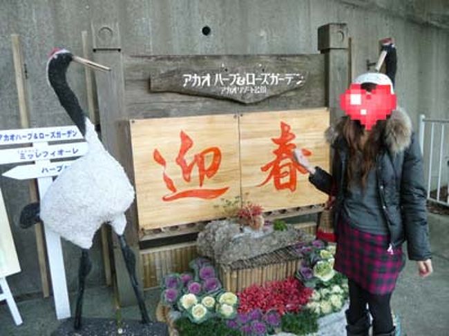 バスに乗って５分くらいでローズガーデンに到着。<br />ここから園内バスにてまずは頂上まで行き、徒歩で降りて来るコース(約1時間)です。<br />宿泊者はチェックイン時に貰う割引券で一人300円で入場可。(私達はキャンペーン中で200円)