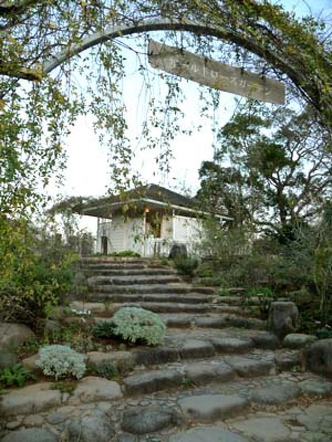 オールドローズガーデン<br />冬だからバラも花も少ないですね。きっと春夏に行ったら全然違うんじゃないでしょうかね。