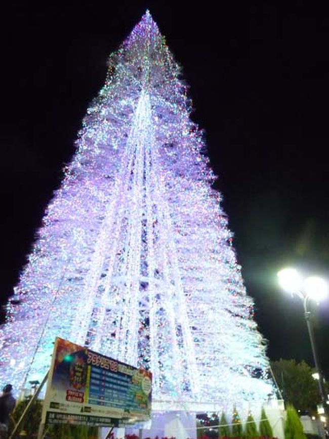 クリスマスツリー。かなり巨大で綺麗です。