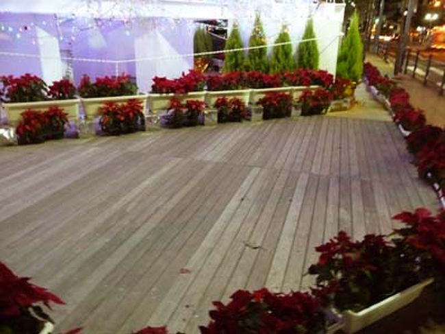 ツリーの足元にもまだクリスマスの名残りを感じます。