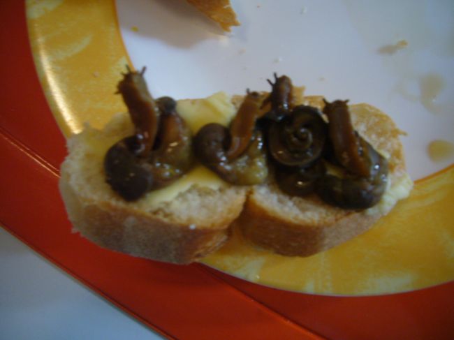 大好きなはずのエスカルゴなのに・・・。<br /><br />思わず「ひぇ〜」って言ってしまった、リアルな　かたつむり。<br /><br />頭もツノも　出てるよ。殻から取り出しても　渦をまいてるのね、カタツムリって・・・。<br /><br />気持ち悪くて　このままじゃ　食べれない、と言ったら　バターを塗ったパンの上にのせて　くれました・・・。<br /><br />いや、味の問題じゃなくて、見た目の問題なんですが・・・。