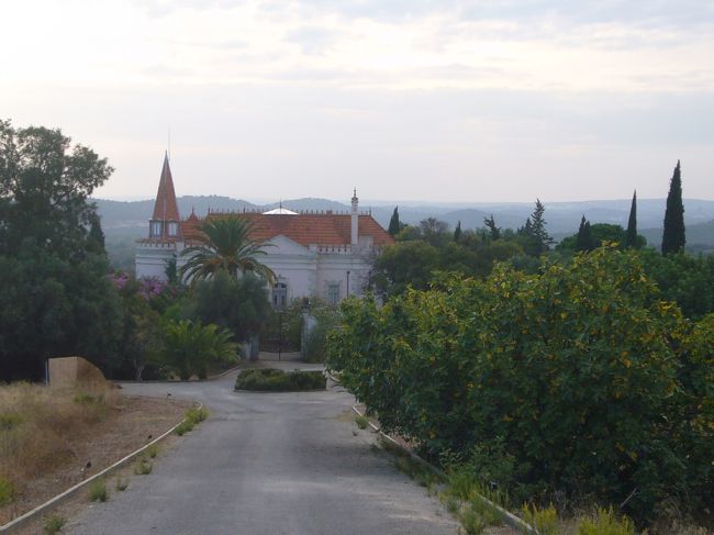 「魔女の家」を見に行く。<br /><br />家まで　けっこうある　私有地を歩いて　近づく。