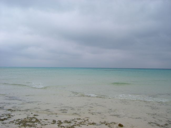 遠浅なので、干潮だとかなり向こうの方まで砂地がでてきたので、探検。