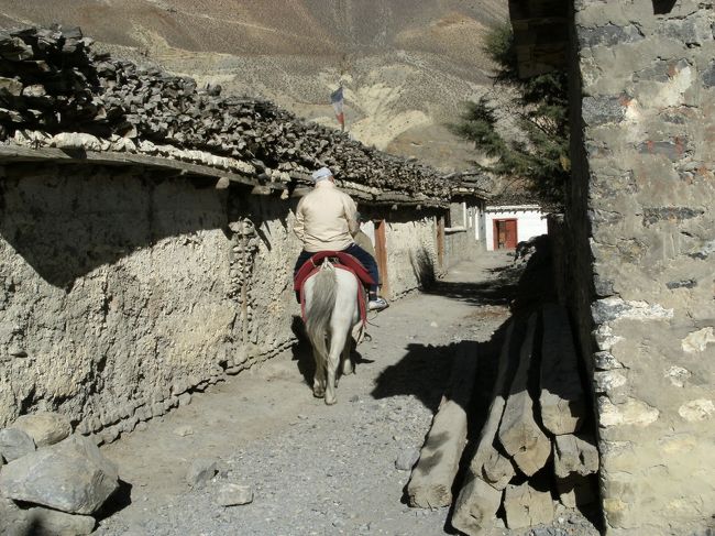 <br />　園を辞して一旦MDSAのオフィスまで戻る。<br /><br />　近藤先生の移動手段は愛馬”さくら”だ・・<br /><br />　さっそうと白馬にまたがる近藤翁の姿は、地域の人々からも畏敬の眼差しで見られていた・・・