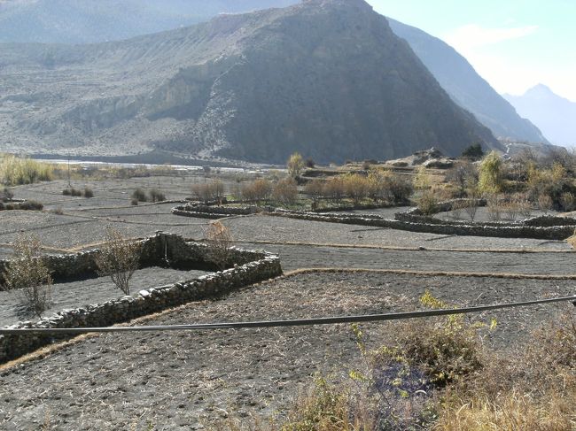 <br />　シャン村に行く途中でみた開墾地・・<br /><br />　近藤先生の指導によりここまで開墾できたのだ。