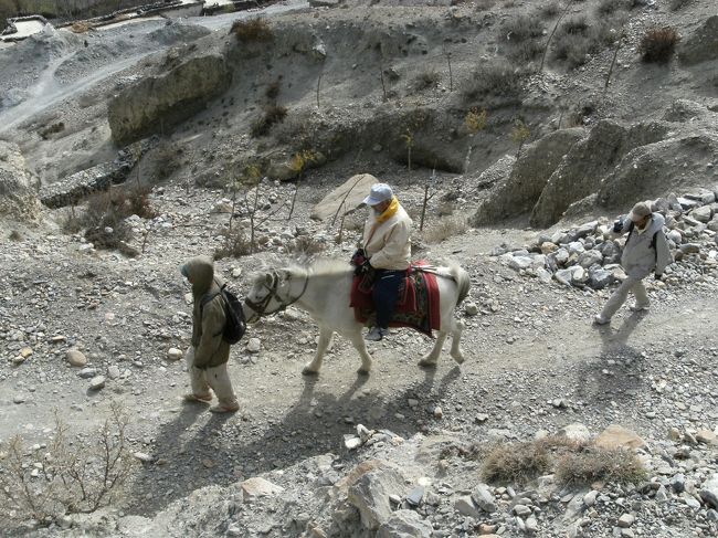 <br />　悪路にめげず颯爽と馬にまたがる姿勢には何とも言い難い風格がある・・・<br />　
