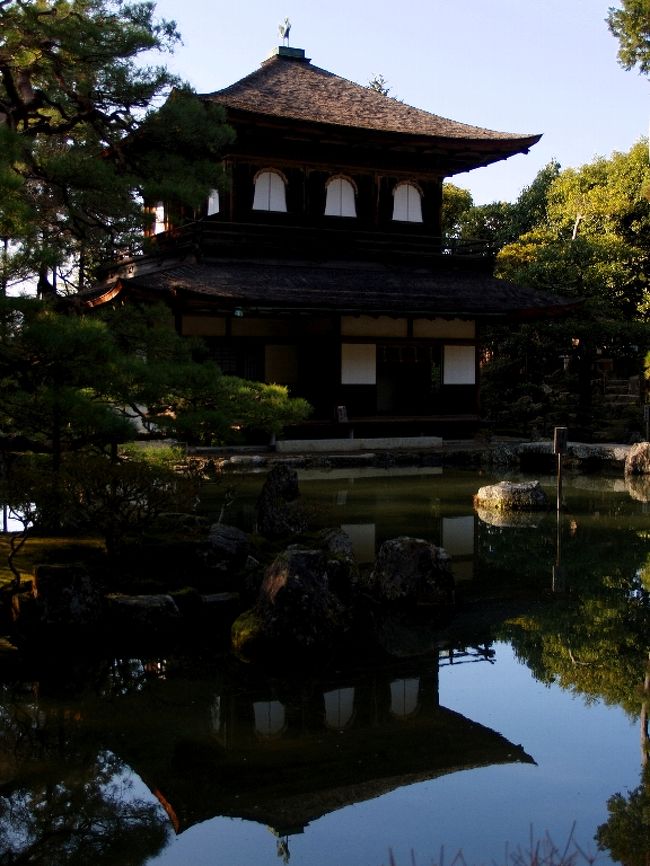 冬の奈良 京都への旅 定番の名所ですが 京都の旅行記 ブログ By タオさん フォートラベル 冬の奈良 京都への旅 定番の名所ですが 京都の旅行記 ブログ By タオさん フォートラベル