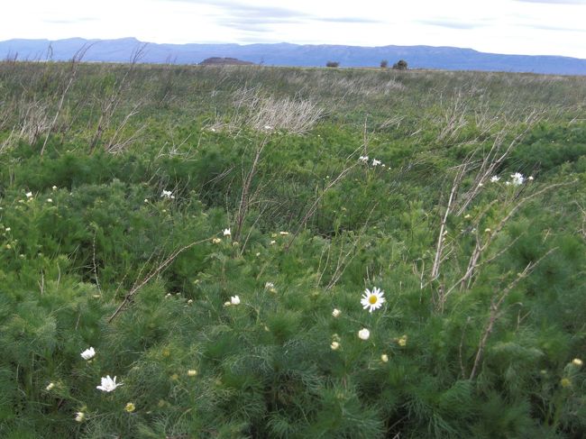 適当に散策することにしました。