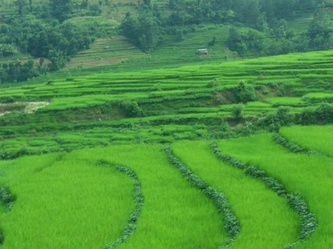 山や川、このような田んぼが広がっている道をひたすら進みます。