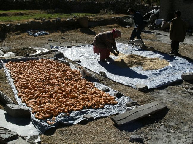 <br />　農園の中に住んでいる人<br /><br />　とうもろこしや麦を干している・・