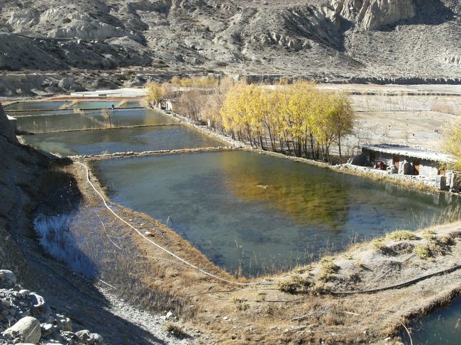 <br />　昨日やってきた養殖池だ・・