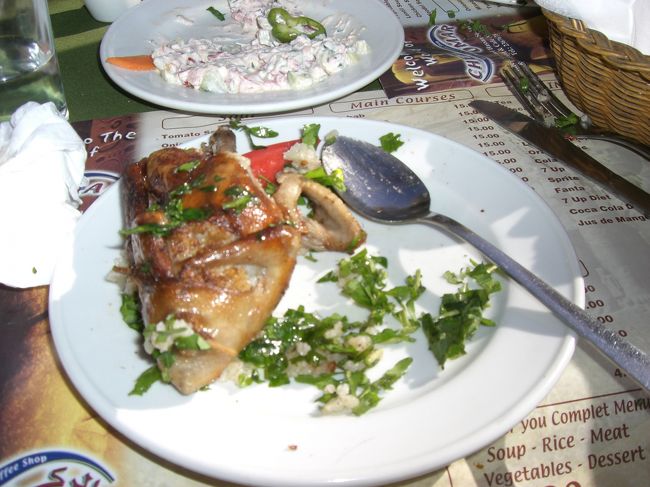 そういえば、この日のお昼は、ピジョンでした。日本では鳩は平和の象徴な感じで、食べるなんて・・・、と戸惑いましたが、知り合いの方がおいしいおいしいというので、思い切って食べてみると美味でした。げんきんな私。