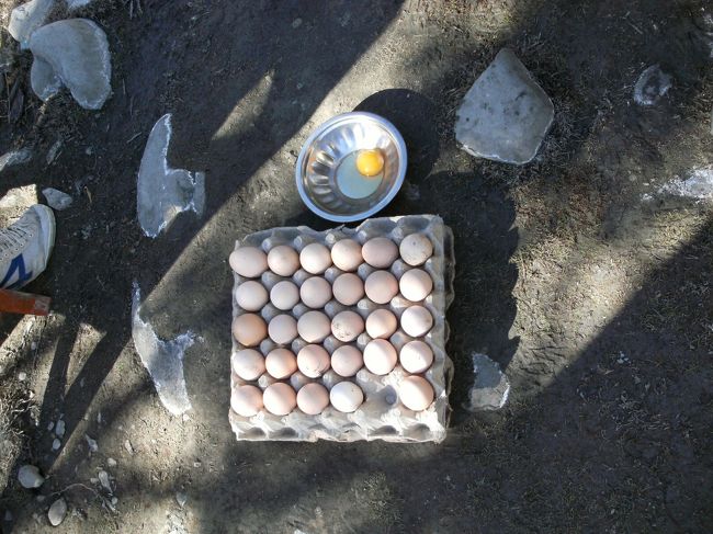 <br />　周囲の畑で放し飼いしている鶏の鶏卵も街に出荷する・・<br /><br />　地鶏の新鮮な鶏卵は評判がいい・・