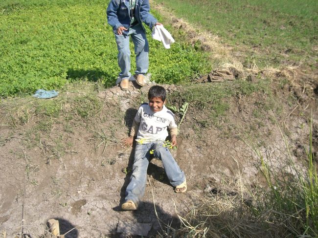 花をもってきてくれましたが、途中で転げ落ちちゃいました。