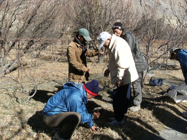 <br />　次の日はＳＹＡＮ・シャンの農園だ・・