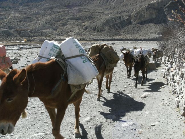 <br />　外からまた鈴の音が聞こえてきた・・・<br /><br />　こんどは穀物を運ぶ馬のようだ。