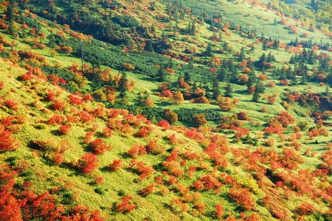 草津白根山の紅葉 08 草津温泉 群馬県 の旅行記 ブログ By Shicunさん フォートラベル