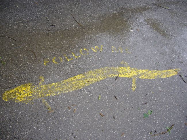 【３日目☆鍾乳洞探検へ】　<br /><br />鍾乳洞の入り口を教えてくれる類人魚くん。<br /><br />※類人魚とは・・この洞窟に住む両生類。<br /><br />まずはトロッコに乗って、鍾乳洞の中を２キロほど走ります。結構スピードがでて（といってもそれほど速くはない）、おもしろかったです。<br /><br />トロッコを降りた後は、いろいろな言語のガイドさんについて、テクテク歩きます。<br /><br />