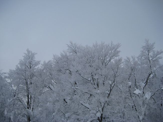 さっきまで晴れていたのに急に風が勢い強くなり、猛吹雪になりました。山の天気は変わりやすく危険です。気温はマイナス十度です。