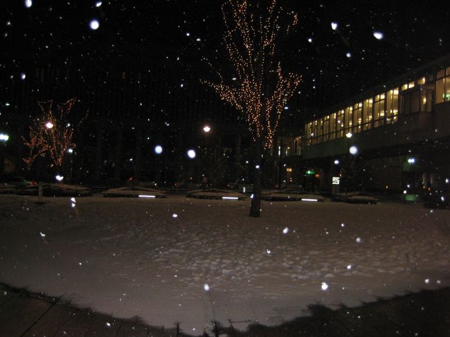 JR山形駅の東口です。こんな何気ない静かな風景にうっとりしてしまいます。しばらくの間、雪がただしんしんと降り積もる中に立っていました。