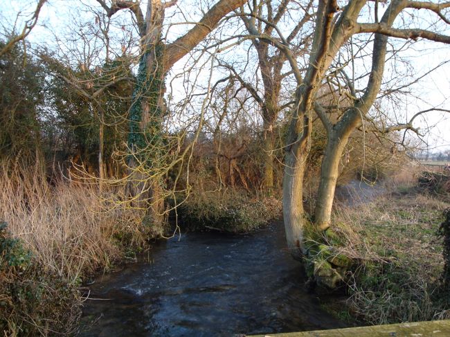 素敵な小川も流れてました。