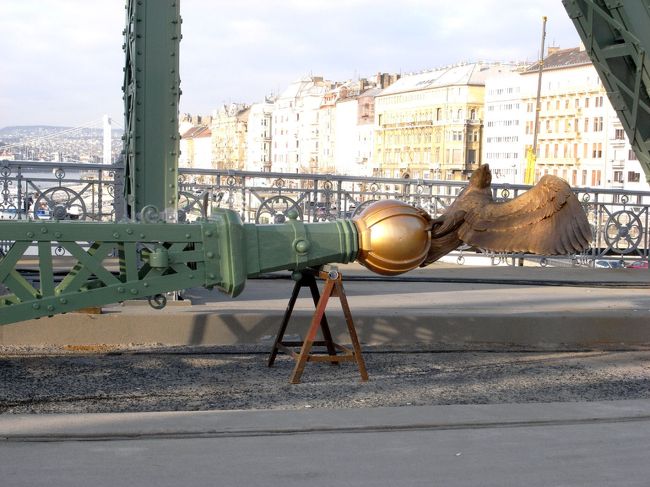 ペスト側に向かいたかったのですが、<br />自由橋が工事中だったので歩いて渡ることに。<br />なかなか、見れない鷲ちゃんを真近に見れてラッキー♪<br />