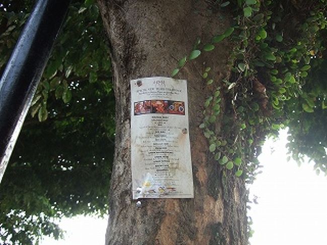 ０８１２３０－０７１０．ピンで留めてある。