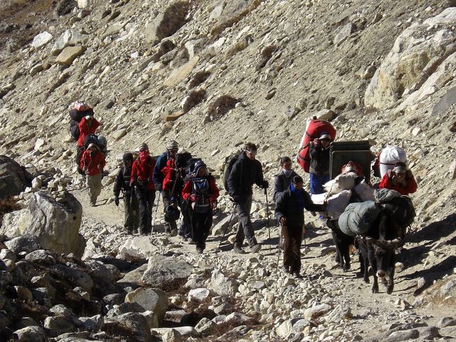 カラパタールへの登山道。<br />　もうすぐゴラクシェフの山小屋です。<br />　見えているのに辛いコースです。