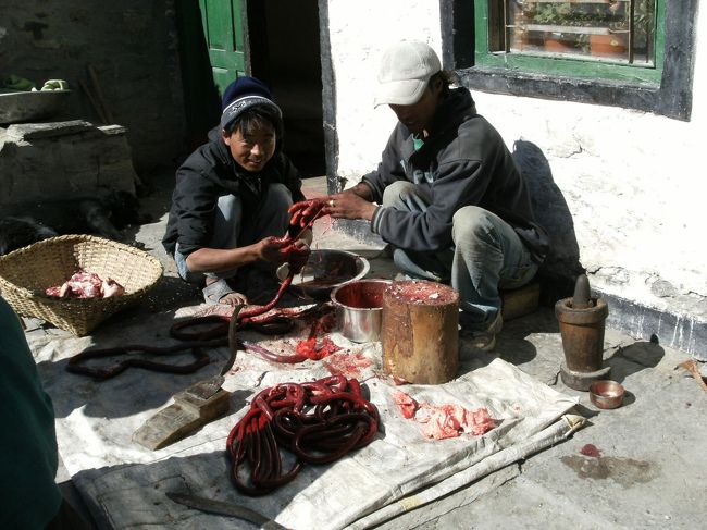 <br />　近くに自家製のワイン工場があるというので行ってみることにした・・・<br /><br />　その途中、地元の若者が山羊を解体していた。このように解体を目の当たりにしたのは初めてのことだ。<br /><br />　これが本当の腸詰だ・・・・