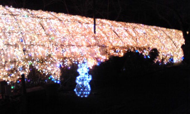 光のトンネルです。外側から。