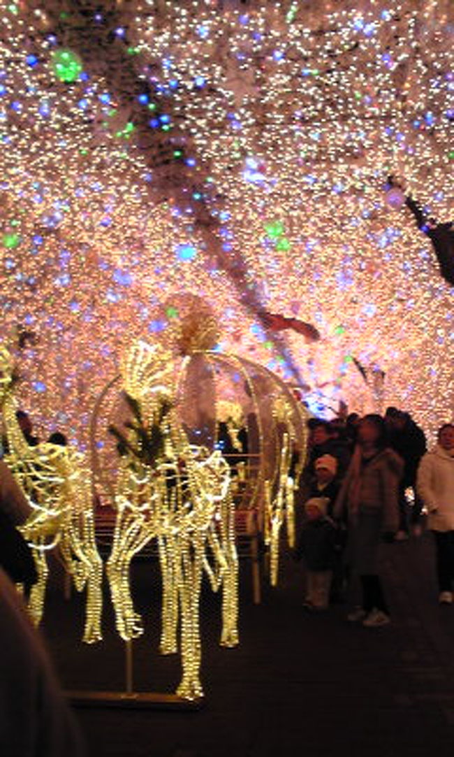 馬車がいます。