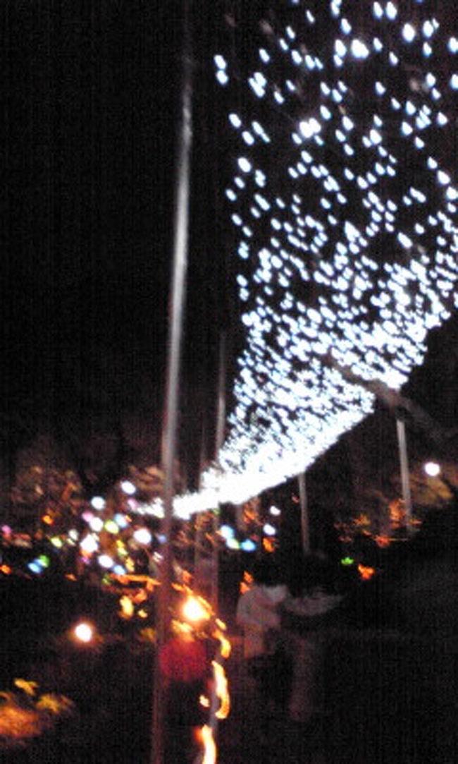 第二会場へと続く道です。