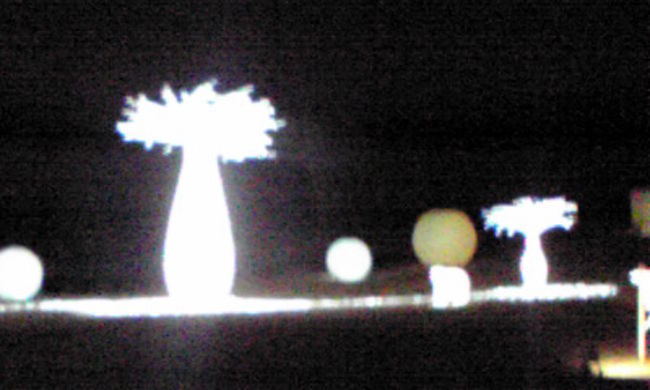 こちらが第二会場にあるイルミ