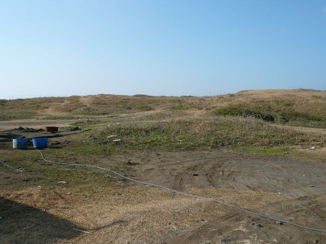 オール・インのロケでは本来この辺りにイ・ビョンホン演じるイナさんが最終話で家を建てた所だという。ここの土産品店でスヨンのオルゴールを買った。結構、韓国ドラマは最近は良く見ている。