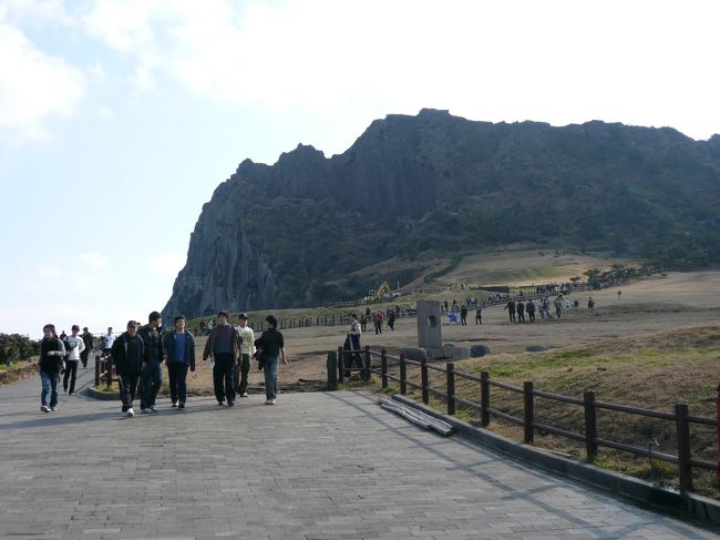 麓からだと、、、えー、、、と言う険しさだが、約２５分程で頂上に着く。普段は使用していない筋肉を使ったせいだろう。筋肉痛が始まった。