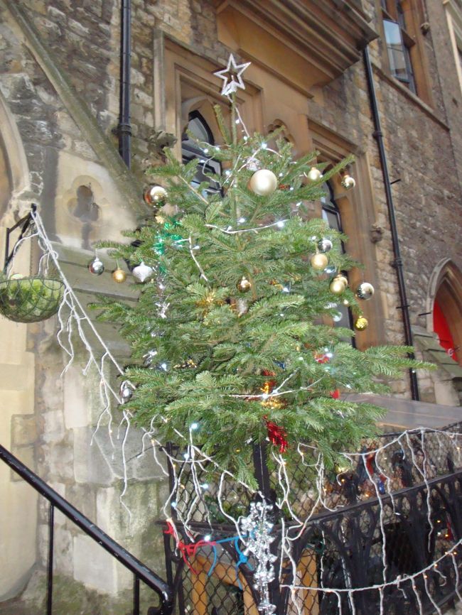 12月29日の朝。列車の出発前に見つけた街のクリスマスツリー。ロンドンはまだまだクリスマスでした。