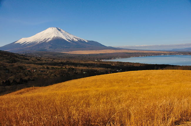 パノラマ台から見た山中湖と富士山。