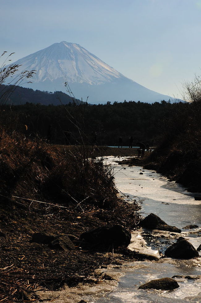 西湖から見た富士山。せせらぎの水は凍っていた。この日の朝の気温は-4℃だった。