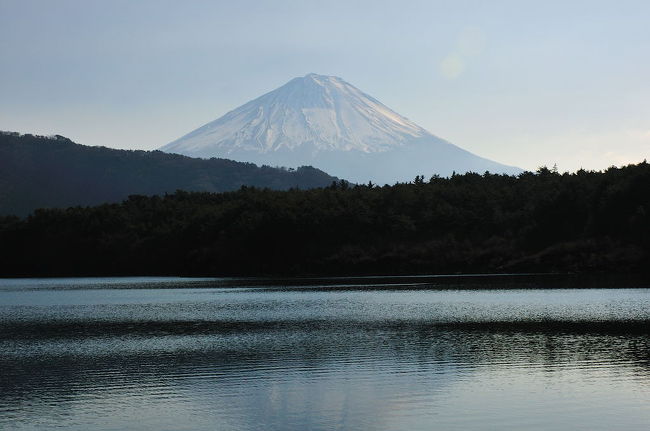 西湖から見た富士山。