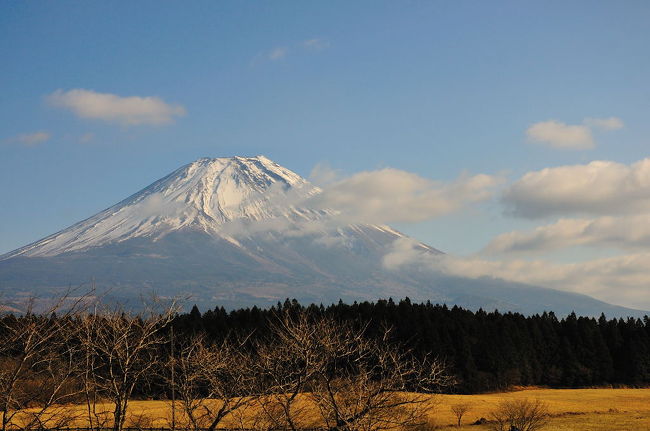 この旅最後の富士山。この後東名高速に向かったがＩＣに着いたころ富士山のほうを見ると雲の向こうだった。