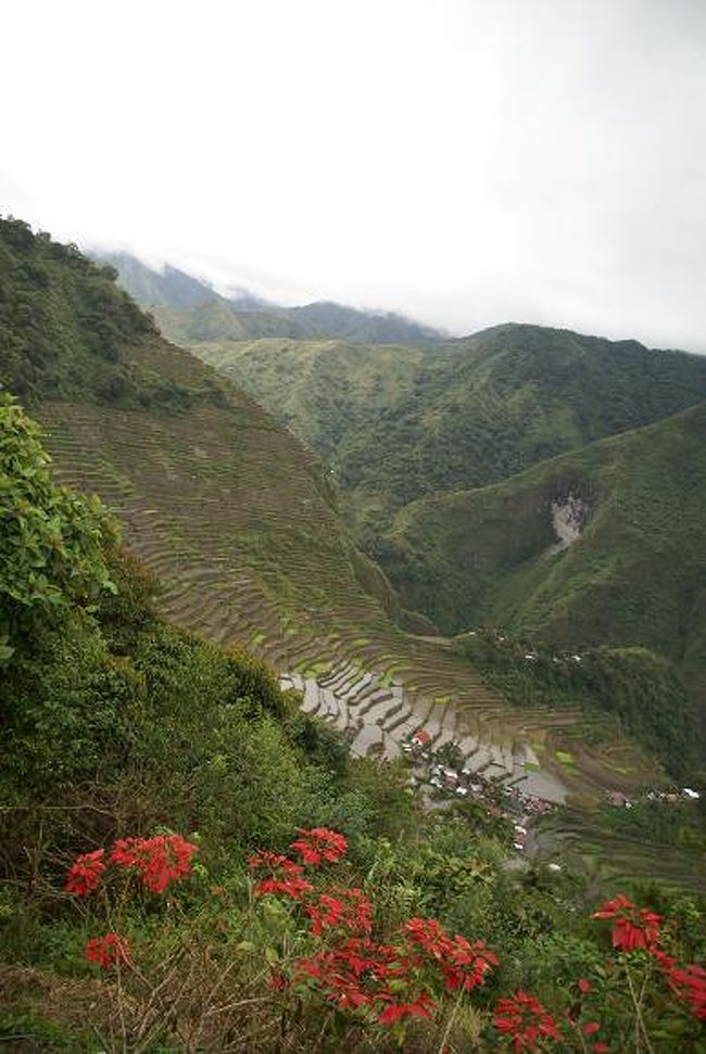 肝心の棚田だが、高さ１５００ｍで端から端まで平らに伸ばすと地球を半周するぐらいの長さになる壮大なものらしいが、実際の印象は度肝を抜かれるようなものではなかった・・・ <br />天気の悪さの影響がないわけではないと思うが・・・ <br />しかし棚田を見るのは初めてではなく、以前日記にも書いたが中国の元陽で世界最大級と言われるものを見てた。。。 <br />元陽の時も天気は悪く、今回も毎日雨の最悪の天気で同じような天候と考えると、俺には元陽のほうが壮大かつ雄大に写った。。。 <br />それはもしかするとはじめて見たものというプラス要因が大きいかもしれないと思ったが、知り合いも同様に元陽を見た後にバナウェを見てバナウェのほうがよかったと言っているので、結局は見た者の印象だった・・・ <br />今回の一番の不思議は、なぜここが８番目の不思議に挙げられてるかということが最大の不思議だった・・・ <br />