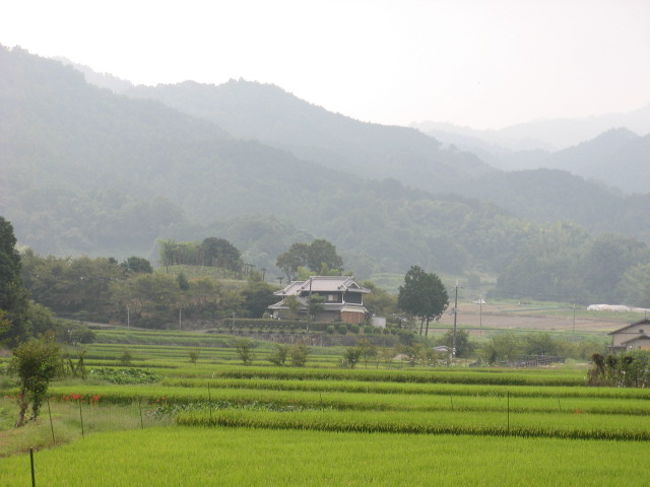 遠くには山々が霞んで見え、しばらく古代の歴史に思いを馳せて散策を楽しみました！！