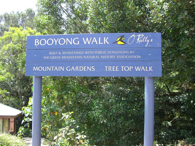 O'Reilly'sさんの山？にも行きました。<br />緑が沢山で気持ちいい。