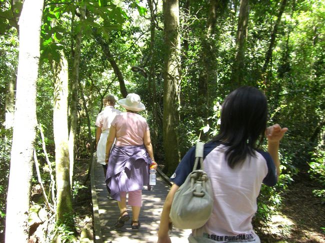 木々の中を歩いていくと