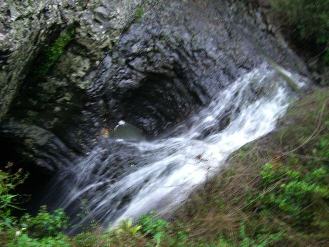 シーワールドのあとは前日のリベンジにとグローワームを見にナチュラルビレッジへ。<br />しかし暗くなったなぁと思ったころに大雨。<br />結局見れずに帰ってきました。<br />