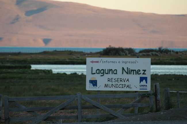 二メス湖到着。<br />誰もいないので金網を越えて潟の方に歩きます。