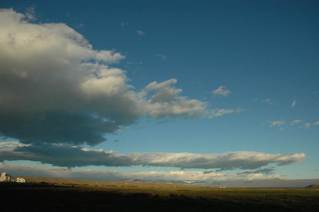 少しずつ陽が当たり出しました。<br /><br />カラファテで吹くのはアンデスからの西風ばかり。<br />街路樹の苗木の風除けも全て西側をカバーしています。