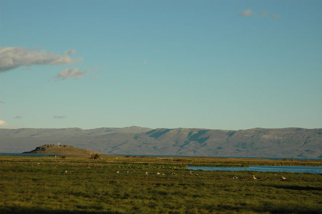 潟に鳥たちが集まります。