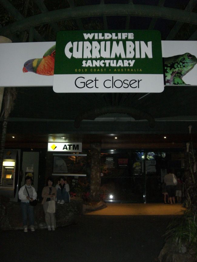 ナイトサファリに行きました。<br />蛇や子供のワニを持って写真も取りました。<br />ワニのおなかは柔らかくて暖かでした。